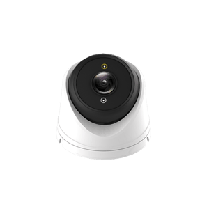 5 MP AI (Human/Car/Face detection) Dual-light Eyeball IP Camera SA-D2-IP5 